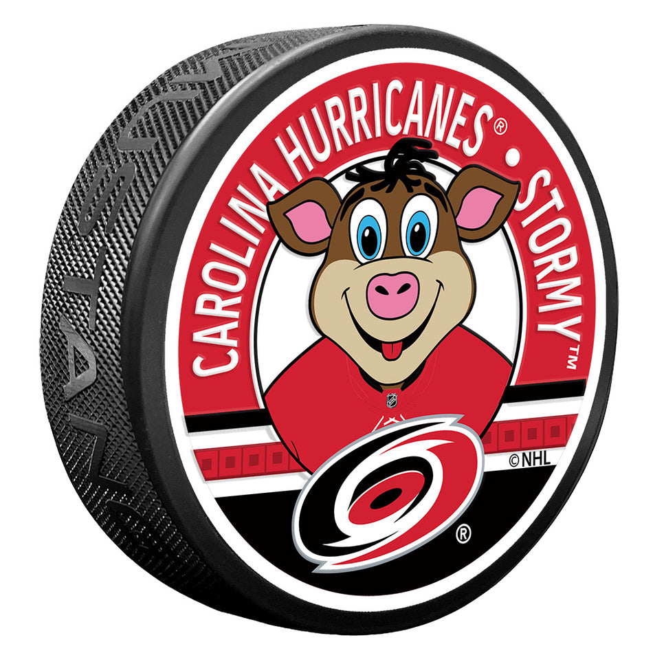 Carolina Hurricanes puk Stormy Mascot Textured