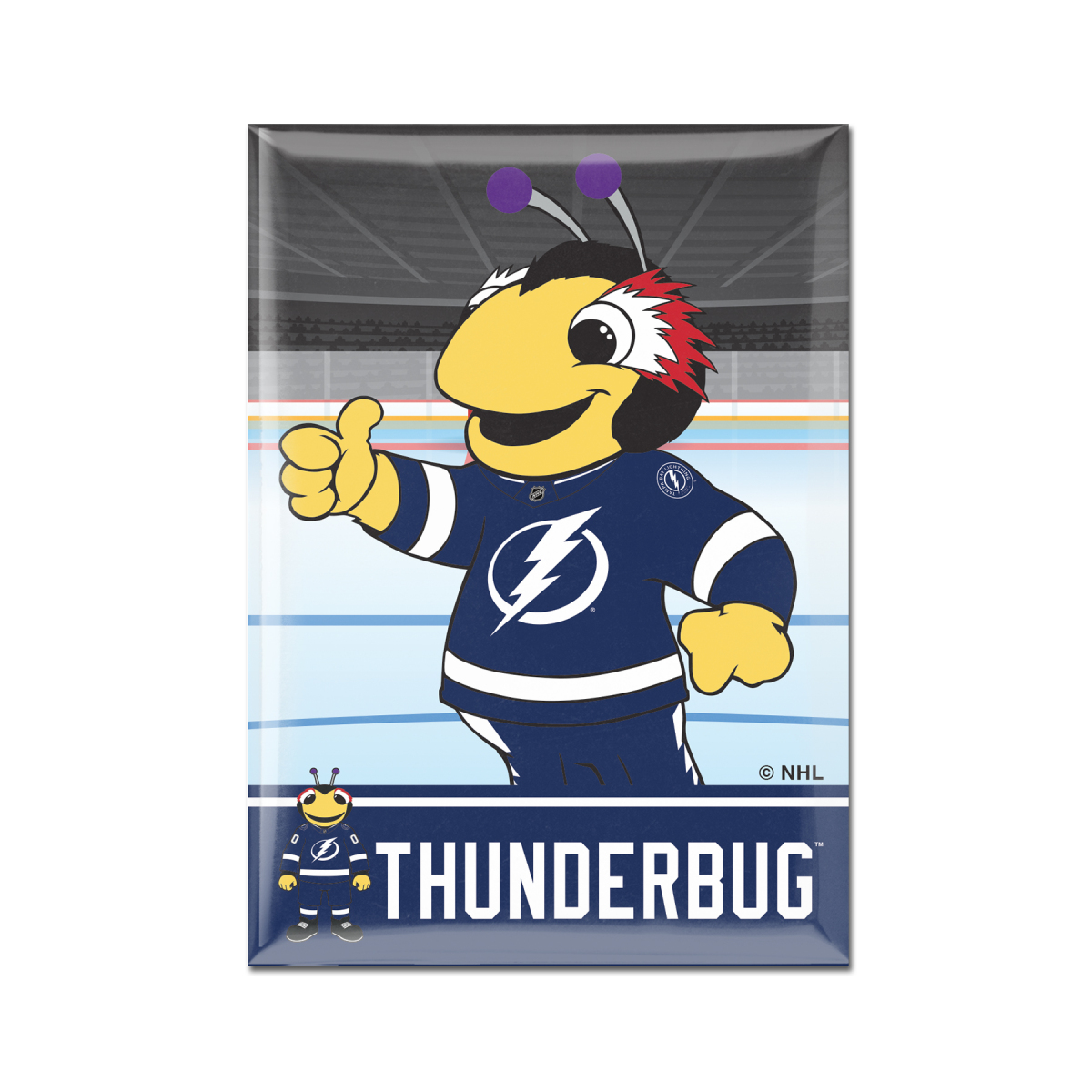 Tampa Bay Lightning magnetka Metal Mascot