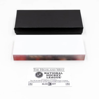 Chicago Blackhawks obrázek v rámečku Connor Bedard picture