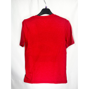 Minnesota Wild dětské tričko All Time Great Triblend