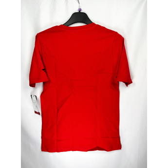 Chicago Blackhawks dětské tričko Apro Wordmark Ss Ctn Tee red