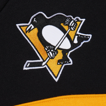 Pittsburgh Penguins pánská mikina s kapucí Head Coach Hoodie Current Logo