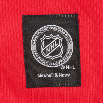 Florida Panthers pánská mikina s kapucí Retro Fleece Current Logo