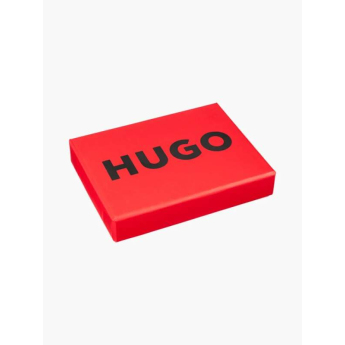 Visa Cash App RB pouzdro na karty Hugo black F1 team 2024