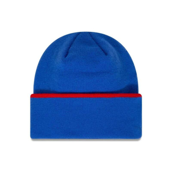 Visa Cash App RB zimní čepice official blue F1 Team 2024