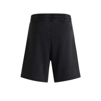 Visa Cash App RB pánské kraťasy Hugo Logo grey F1 team 2025