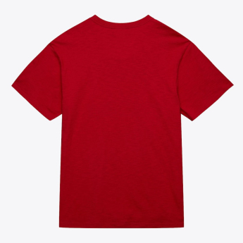 Detroit Red Wings pánské tričko NHL Legendary Slub Ss