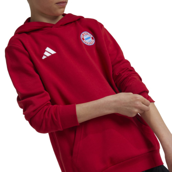 Bayern Mnichov dětská mikina s kapucí Hoody red