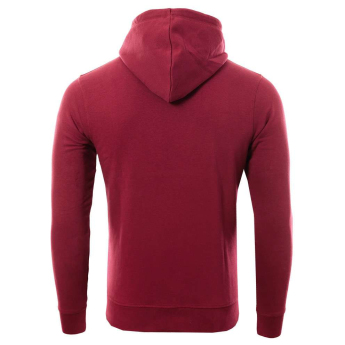 Bayer 04 Leverkusen pánská mikina s kapucí Logo burgundy