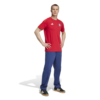 Bayern Mnichov pánské tričko DNA Tee red