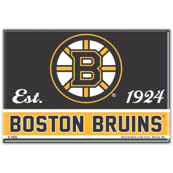 Magnetka na Lednici Boston Bruins