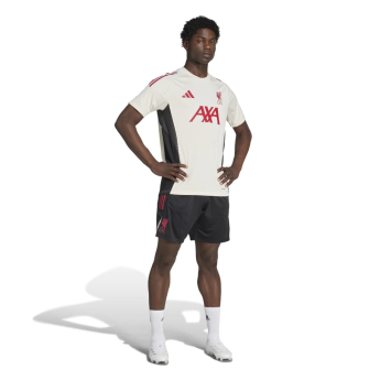 FC Liverpool pánské trenky Tiro Training