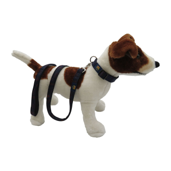 FC Barcelona vodítko Medium