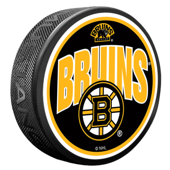 Boston Bruins puk Wordmark