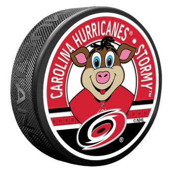 Carolina Hurricanes puk Stormy Mascot Textured