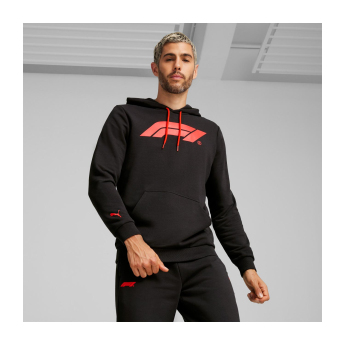 Formule 1 pánská mikina s kapucí Logo black 2024