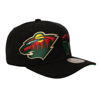 Minnesota Wild čepice baseballová kšiltovka Busted Pro Snapback black