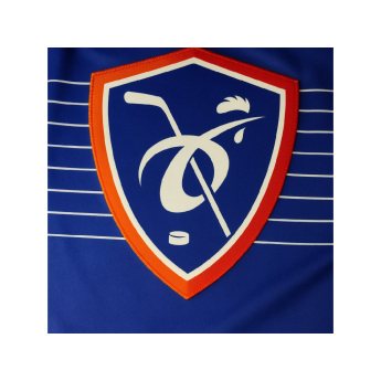 Hokejové reprezentace hokejový dres France NIKE IIHF World Championships replica