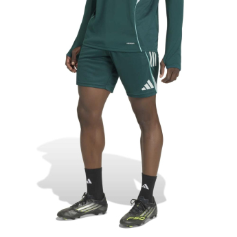 FC Arsenal tréninkové pánské trenýrky aurora