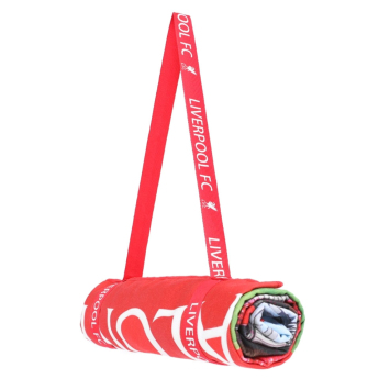 FC Liverpool osuška stadium