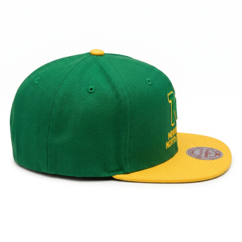 Pánská kšiltovka Minnesota North Star NHL